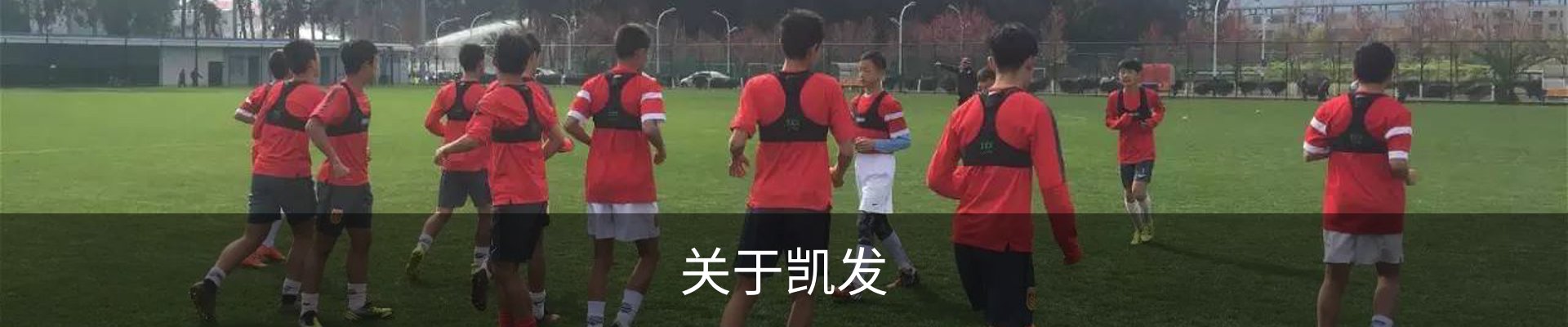 关于凯发